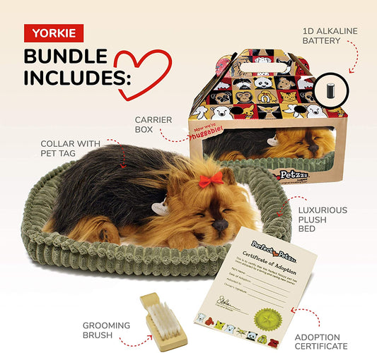 Pp Yorkie