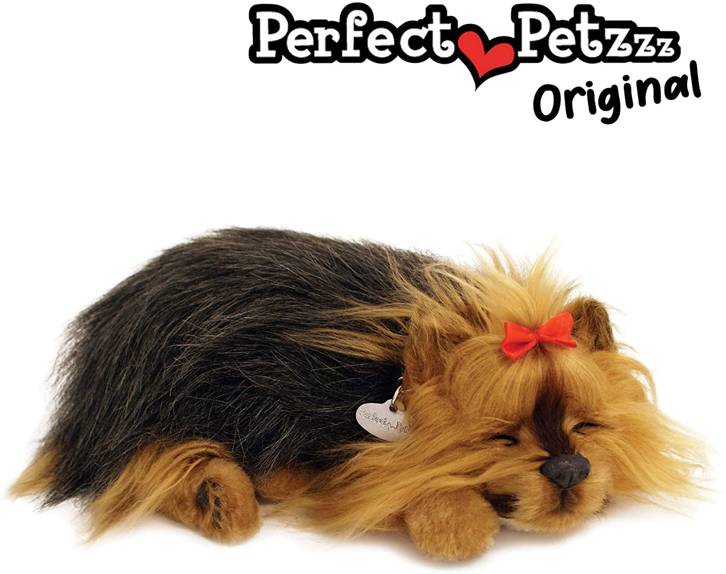 Pp Yorkie