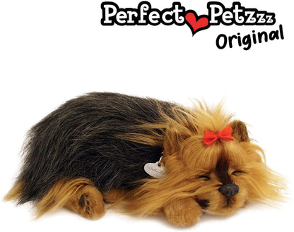 Pp Yorkie