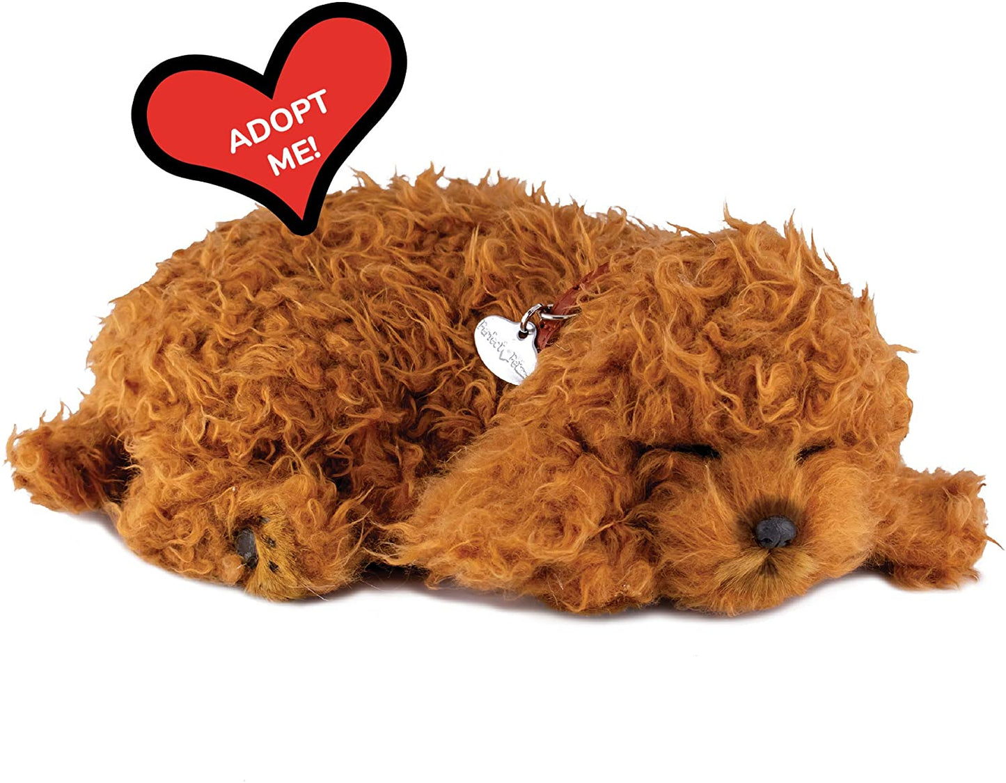 Perfect Petzzz Toy Poodle