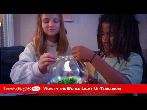 Light Up Terrarium