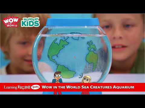Sea Creatures Aquarium
