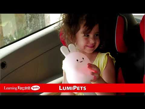 Lumipet Bunny N Remote
