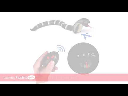 Rc Slithering Snake