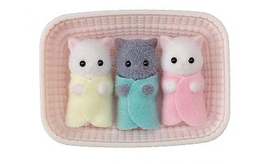 Cc Persian Cat Triplets