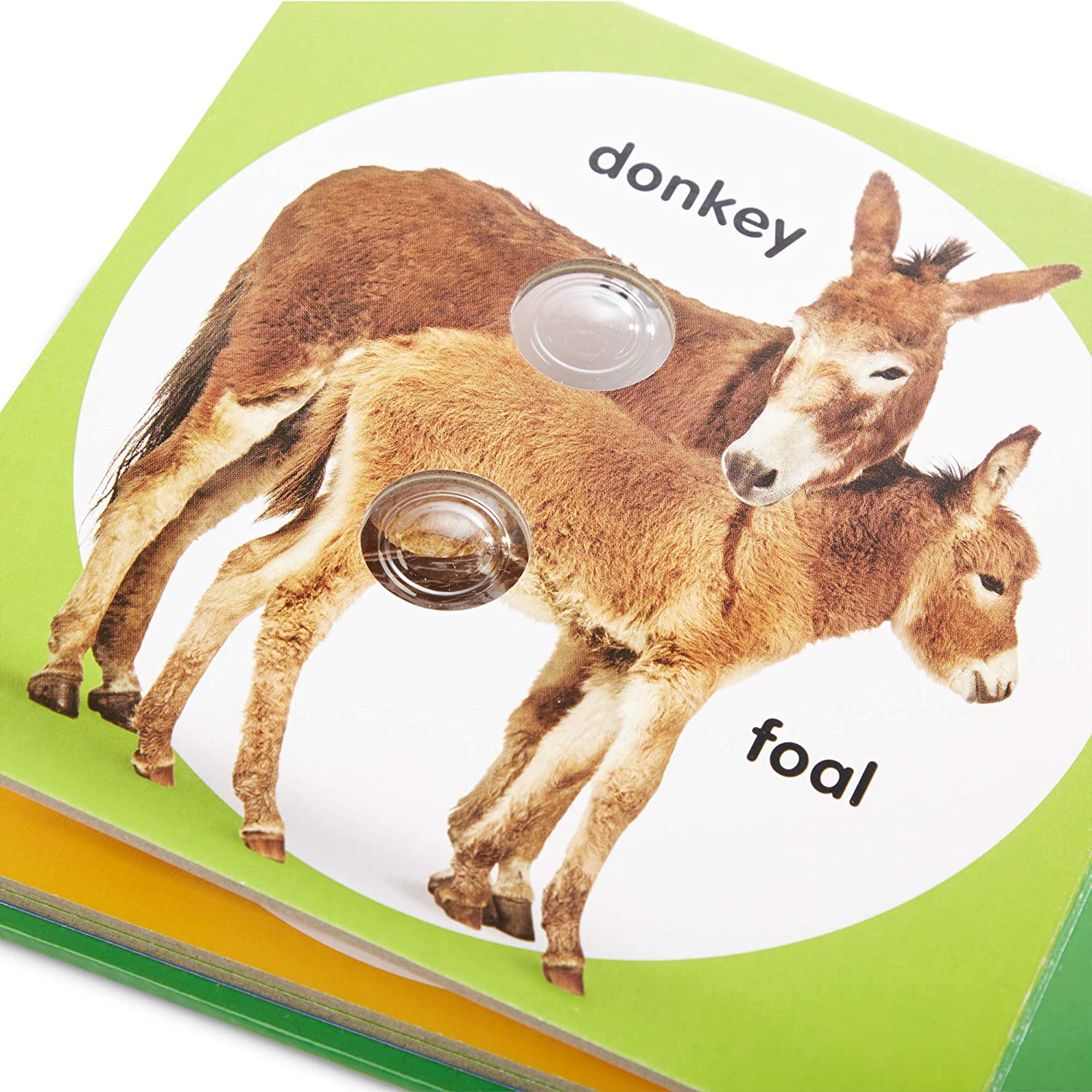 Pokeadot Farm Animal