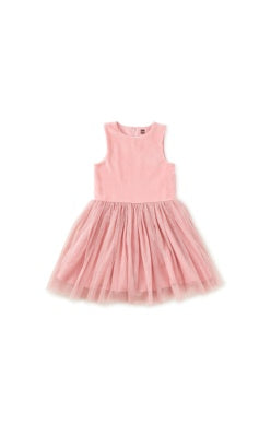 Velour and Tulle Ballet Dress