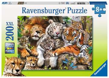 Big Cat Nap Puzzle