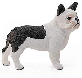Sehh French Bulldog