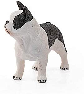 Sehh French Bulldog