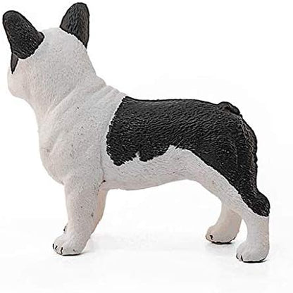 Sehh French Bulldog