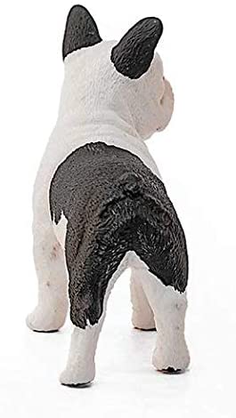 Sehh French Bulldog