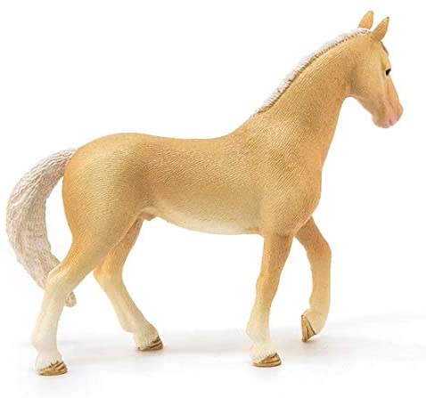 Sehh Akhal-Teke Stallion