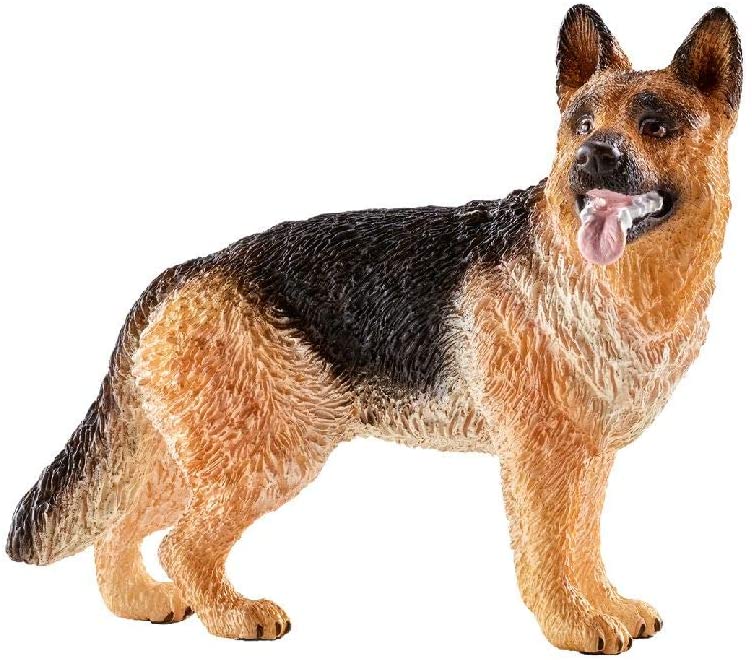 Sehh German Shepherd