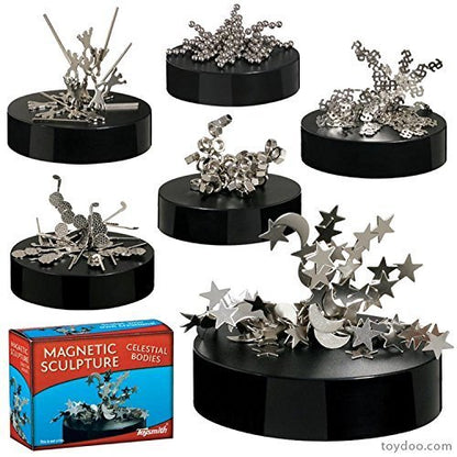 Magnetic Sculpture Asst