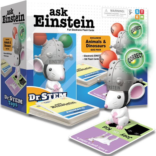 Electronic Flash Cards