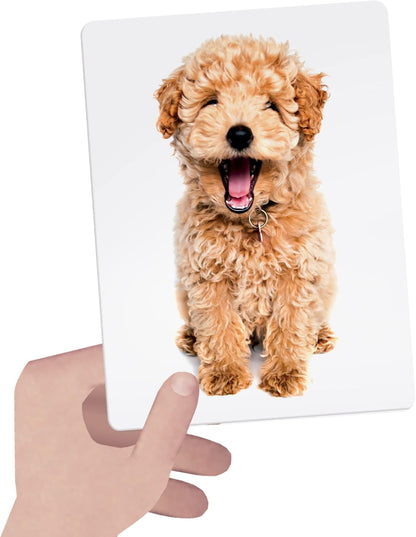 Montessori Flashcards
