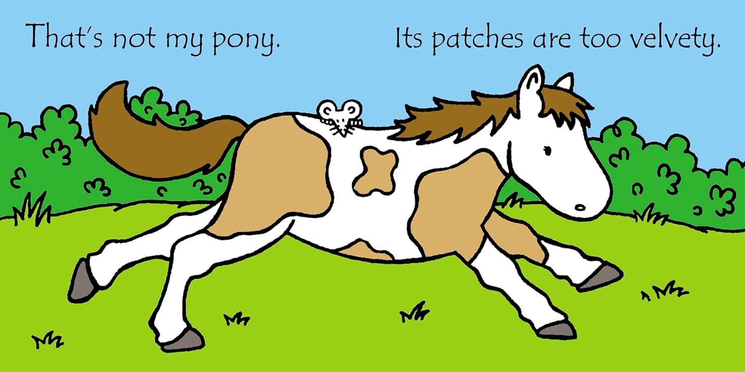 Thats Not My Pony