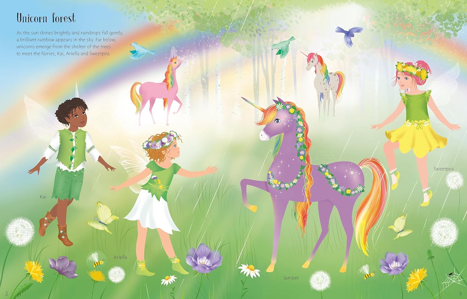 Sd Rainbow Unicorns