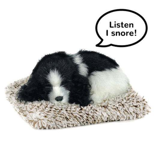 Pp Mini Cocker Spaniel