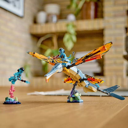 Avatar Skimming Adventure