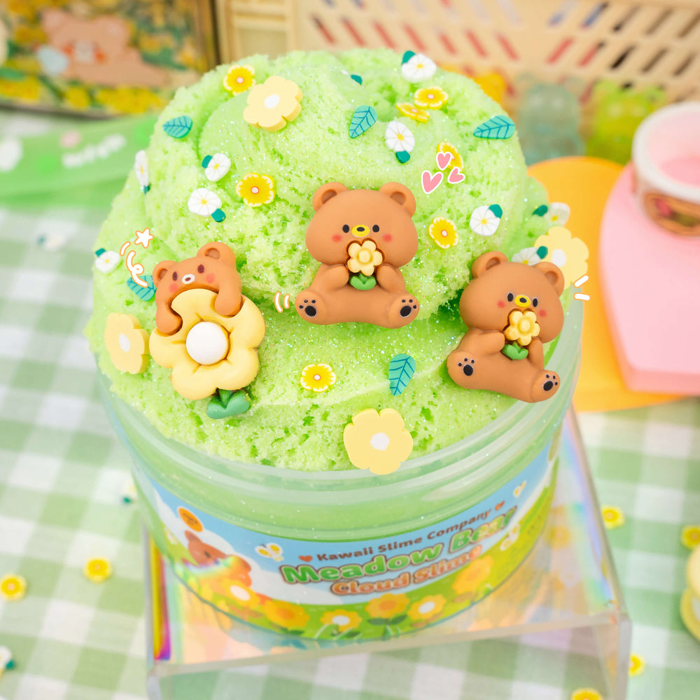 Kawaii Meadow Bear Cloud