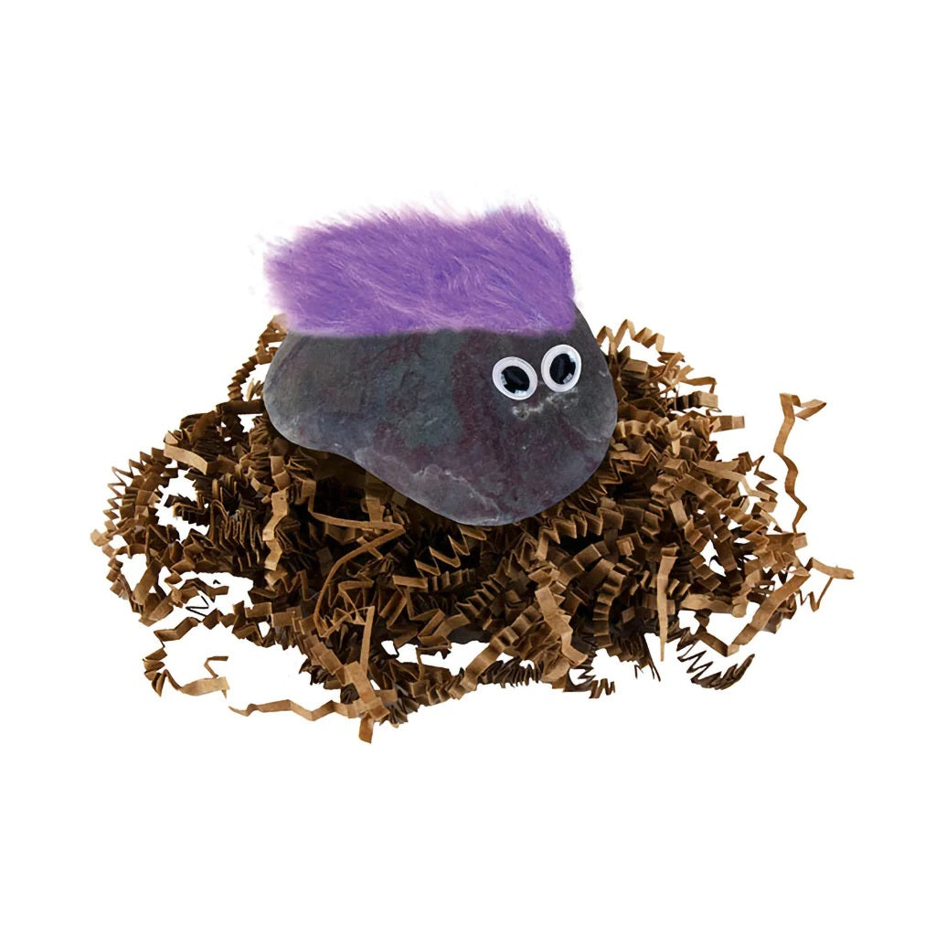 Original Classic Pet Rock