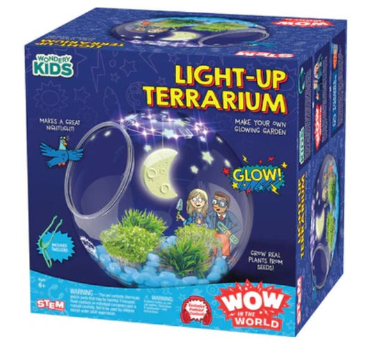 Light Up Terrarium