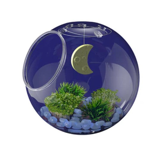 Light Up Terrarium