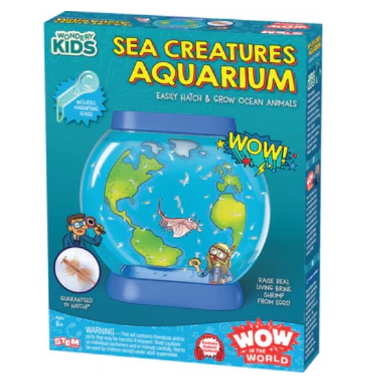Sea Creatures Aquarium